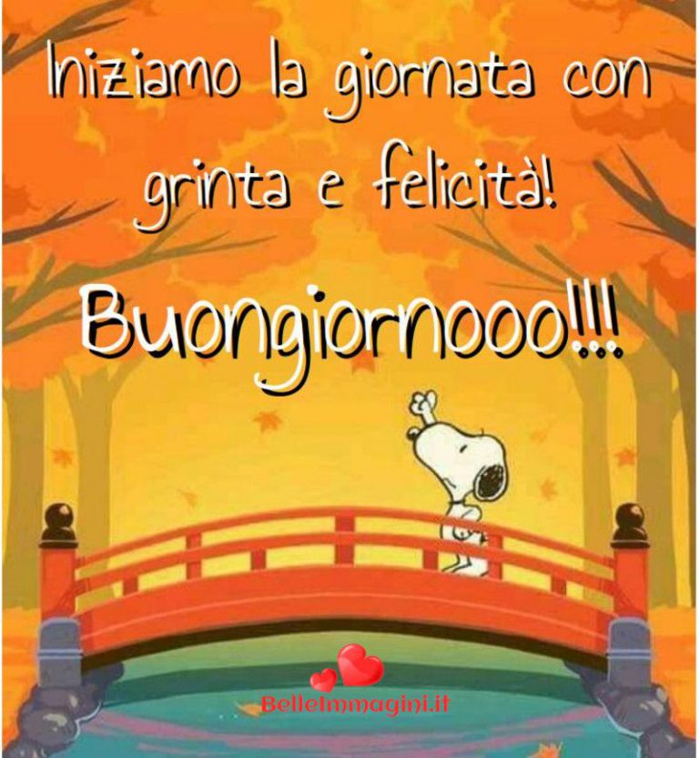 immagini buon lunedi quasi auspicare il buona giornata immagini buon