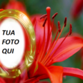 Cornici Per Foto Con Rose Rosse Con Cornice In Oro 120x120 - Cornice A Cuore Decorata Con Cornici Floreali