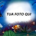Delfini Tartarughe E Pesci Cornice Subacquea Per Foto 120x120 - Lettera D Amore Cornice Per Foto