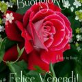 Auguri Di Buon Anno Spiritosi Immagini venerdì 120x120 - Tanti Auguri Nato da Buon  Immagini venerdì
