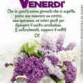 Auguri Di Fine Anno E Inizio Anno Nuovo Immagini venerdì 120x120 - Auguri   E Buon  Immagini venerdì