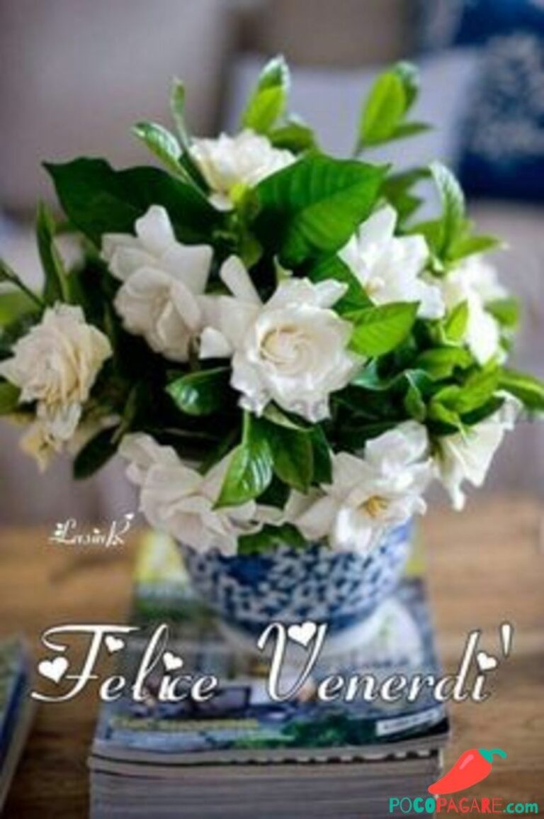 Auguri Di Natale E Buon Anno Immagini venerdì 768x1155 - Auguri   E Buon  Immagini venerdì