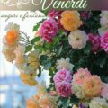 Auguri Speciali Di Buon Anno Immagini venerdì 120x120 - Frasi In Auguri In Buon Annata Aziendali Immagini venerdì