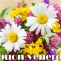 Biglietti Di Auguri Di Buon Anno Immagini venerdì 120x120 - Post Durante Buon Annata Immagini venerdì