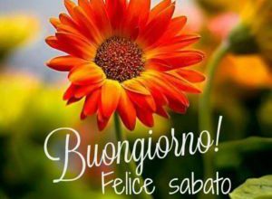 Photo of Buon  Anni Immagini sabato