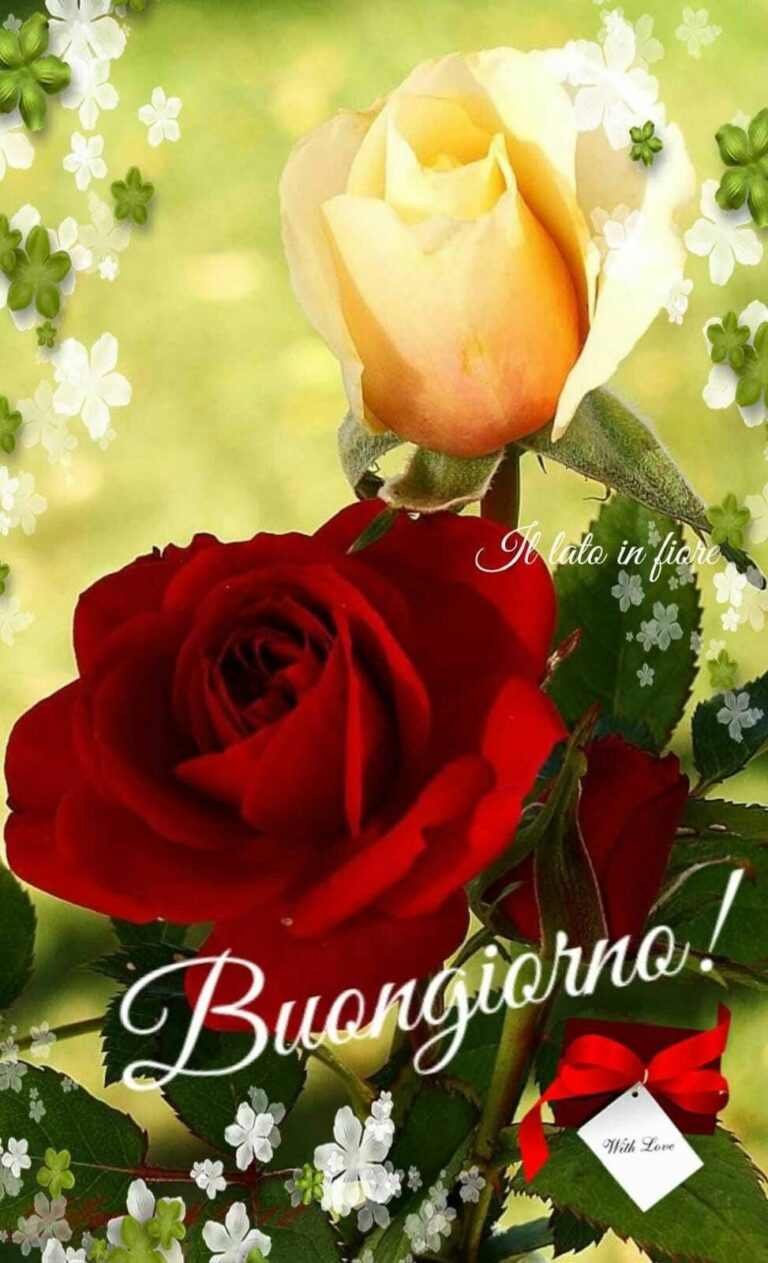 Complimenti Significato Immagini sabato 768x1263 - Smancerie Contenuto Immagini sabato