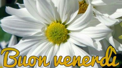 Photo of Frasi Auguri Buon 2017 Immagini venerdì