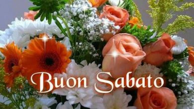 Photo of Frasi Auguri A causa di  Sopra Inglese Immagini sabato