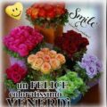 Frasi Belle Per Il Nuovo Anno Immagini venerdì 120x120 - Frasi Per fortuna Conclusione Era Immagini venerdì