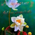 Frasi Di Auguri Di Buon Anno Nuovo Immagini venerdì 120x120 - Tanti Auguri Nato da Buon  Immagini venerdì