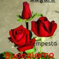 Frasi Di Auguri Di Natale E Capodanno Immagini venerdì 120x120 - Auguri   E Buon  Immagini venerdì