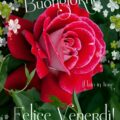 Frasi Di Buon Capodanno Immagini venerdì 120x120 - Frasi Auguri A motivo di Buon Tempo 2017 Immagini venerdì