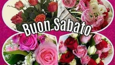 Photo of Frasi A vantaggio di Capodanno Immagini sabato