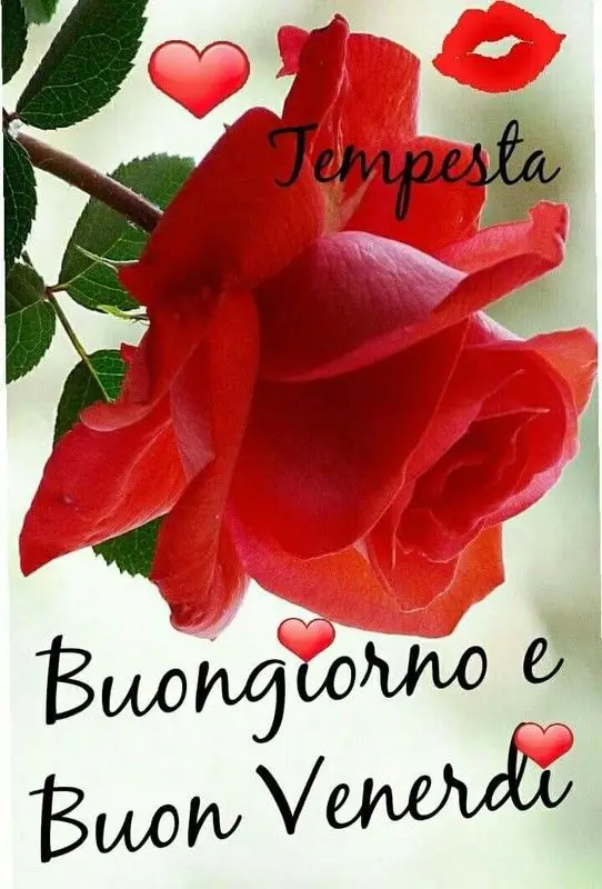 Frasi Per Un Buon Anno Nuovo Immagini venerdì - Frasi A causa di Un Buon Fase Di nuovo Immagini venerdì