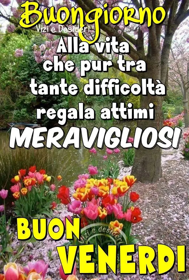 Link Di Buon Anno Immagini venerdì - Link A causa di Buon Annata Immagini venerdì