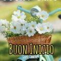 News Elezioni Amministrative Immagini lunedi 120x120 - Risultati Delle Elezioni Comunali Immagini lunedi