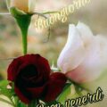 Università Di Viterbo Immagini venerdì 120x120 - Sms A causa di Buon Periodo Immagini venerdì