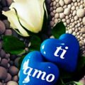 porque te amo Immagini 120x120 - te amo mas é melhor viver sozinho Immagini