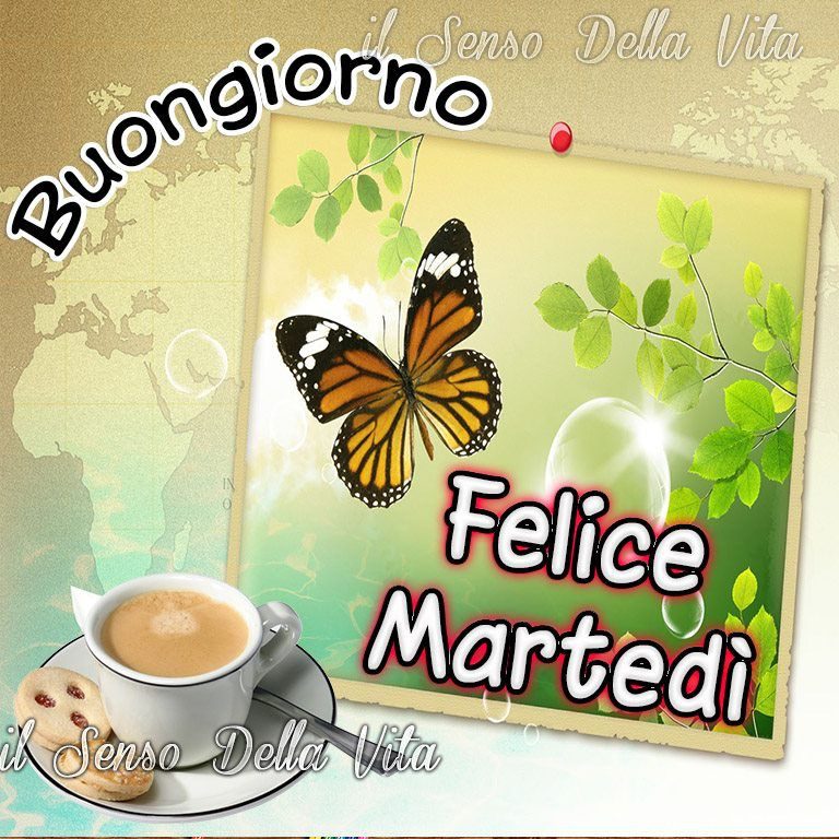 App Programmi Tv Martedì Immagini 768x768 - App Programmi Tv Martedì Immagini