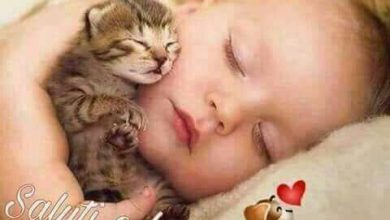 Photo of Augurare Una Dolce Notte Buonanotte Immagini