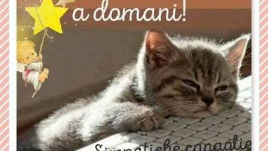 Photo of Auguri Buonanotte Amici Buonanotte Immagini