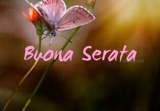 Photo of Auguri Di Buona Serata Buona Serata Immagini