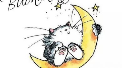 Photo of Bella Buonanotte Da Mandare Buonanotte Immagini