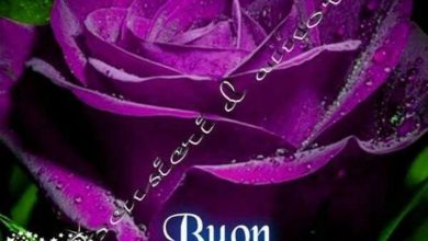 Photo of Buon Vespro Amici Buon Vespro Immagini
