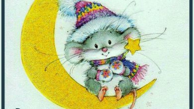 Photo of Buonanotte Agli Amici Buonanotte Immagini