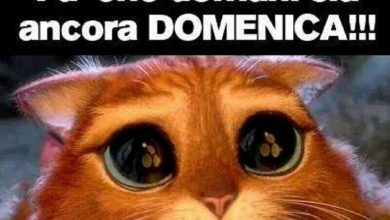 Photo of Buonanotte Amica Speciale Buonanotte Immagini