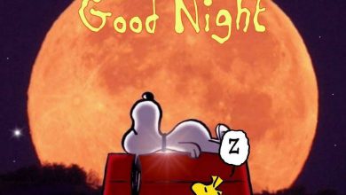 Photo of Buonanotte Particolare Buonanotte Immagini