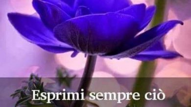 Photo of Buonanotte Poetica Buonanotte Immagini