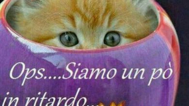 Photo of Buongiorno Amore Mio Immagini