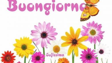 Photo of Buongiorno Divertenti Immagini