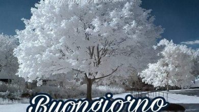 Photo of Buongiorno Dolce Amore Immagini