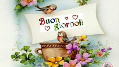 Photo of Buongiorno Felice Giornata Immagini