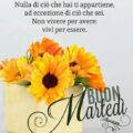Cosa Fanno Oggi In Tv Martedì Immagini 120x120 - Stasera In Tv Sky Martedì Immagini