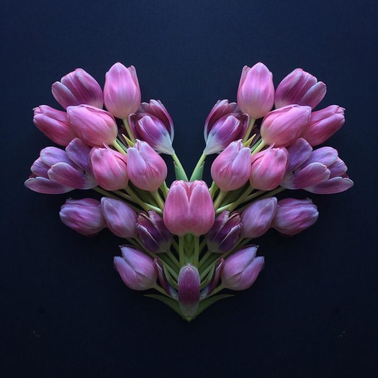 Cuori Fiori Bellissimi Immagini 768x768 - Cuori Fiori Bellissimi Immagini