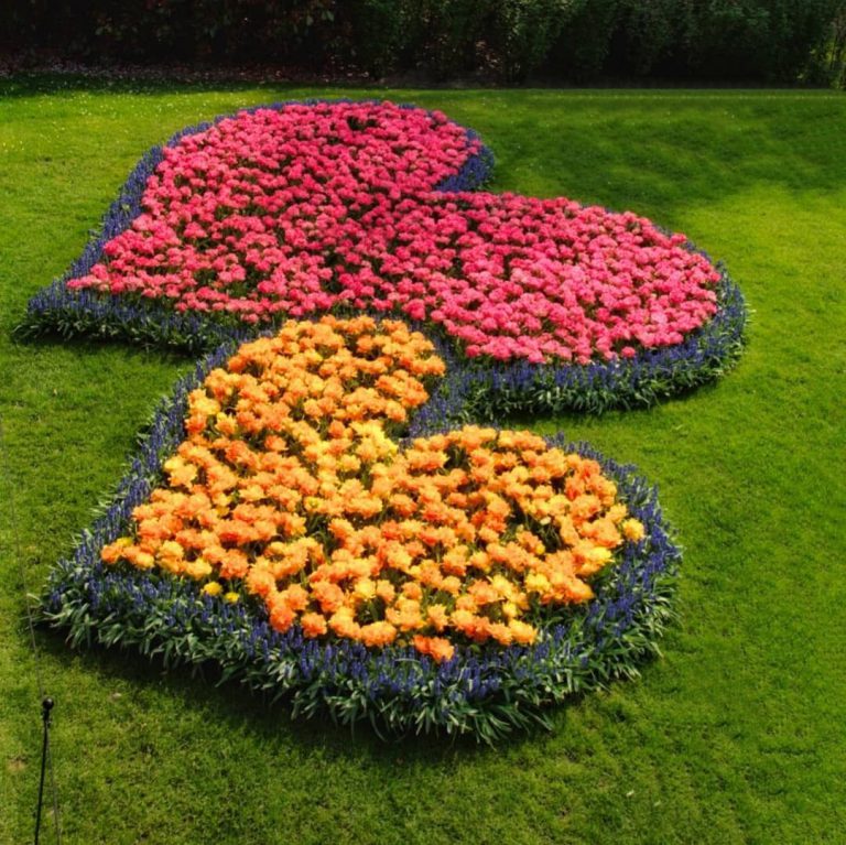 Cuori Foto Passione Amore 768x767 - Cuori Foto Passione Amore