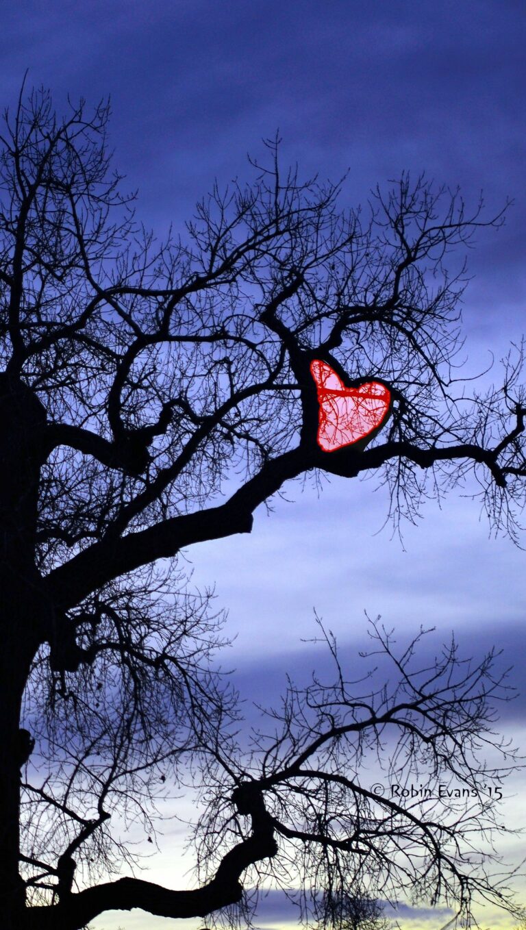 Cuori Immagini Belle Per Whatsapp 768x1358 - Cuori Immagini Belle Per Whatsapp