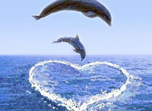 Photo of Cuori Immagini Di San Valentino