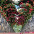 Cuori Immagini Di Un Cuore 120x120 - Cuori Immagini Di Un Cuore Rosso