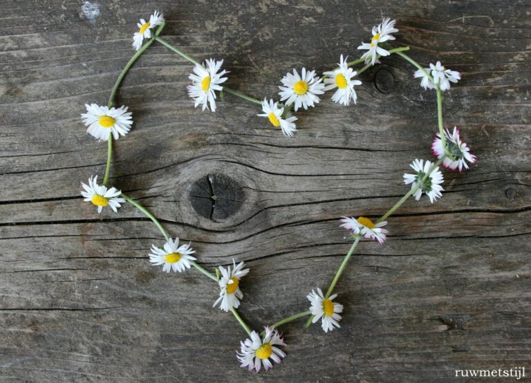 Cuori Immagini Di Un Cuore Grande 768x554 - Cuori Immagini Di Un Cuore Grande