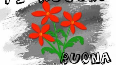 Photo of Foto Buonanotte Dolci Buona Serata Immagini