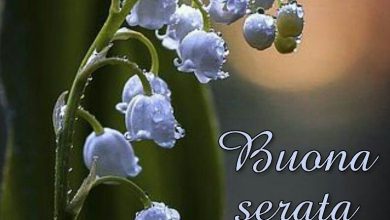 Photo of Foto Gratis Buonanotte Buona Serata Immagini