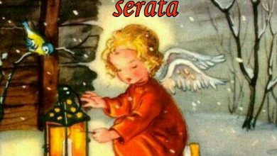 Photo of Frasi Belle Buona Serata Buona Serata Immagini