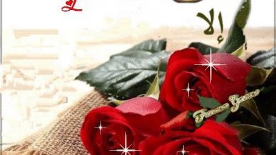 Photo of Frasi Di Buongiorno Amici Buon Pomeriggio Immagini