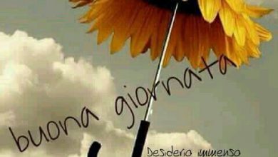 Photo of Frasi Dolci Del Buongiorno Buona Giornata Immagini