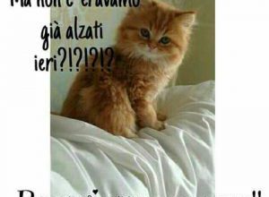 Photo of Frasi Simpatiche Di Buongiorno Immagini