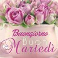 Gennaio Martedì Immagini 120x120 - La7d Martedì Immagini